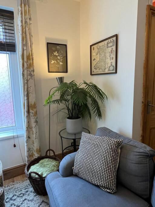 Just The Splott! Sleeps 6, 8 Mins To Stadium. คาร์ดิฟฟ์ ภายนอก รูปภาพ